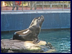 L'Oceanogràfic Oceanarium 123